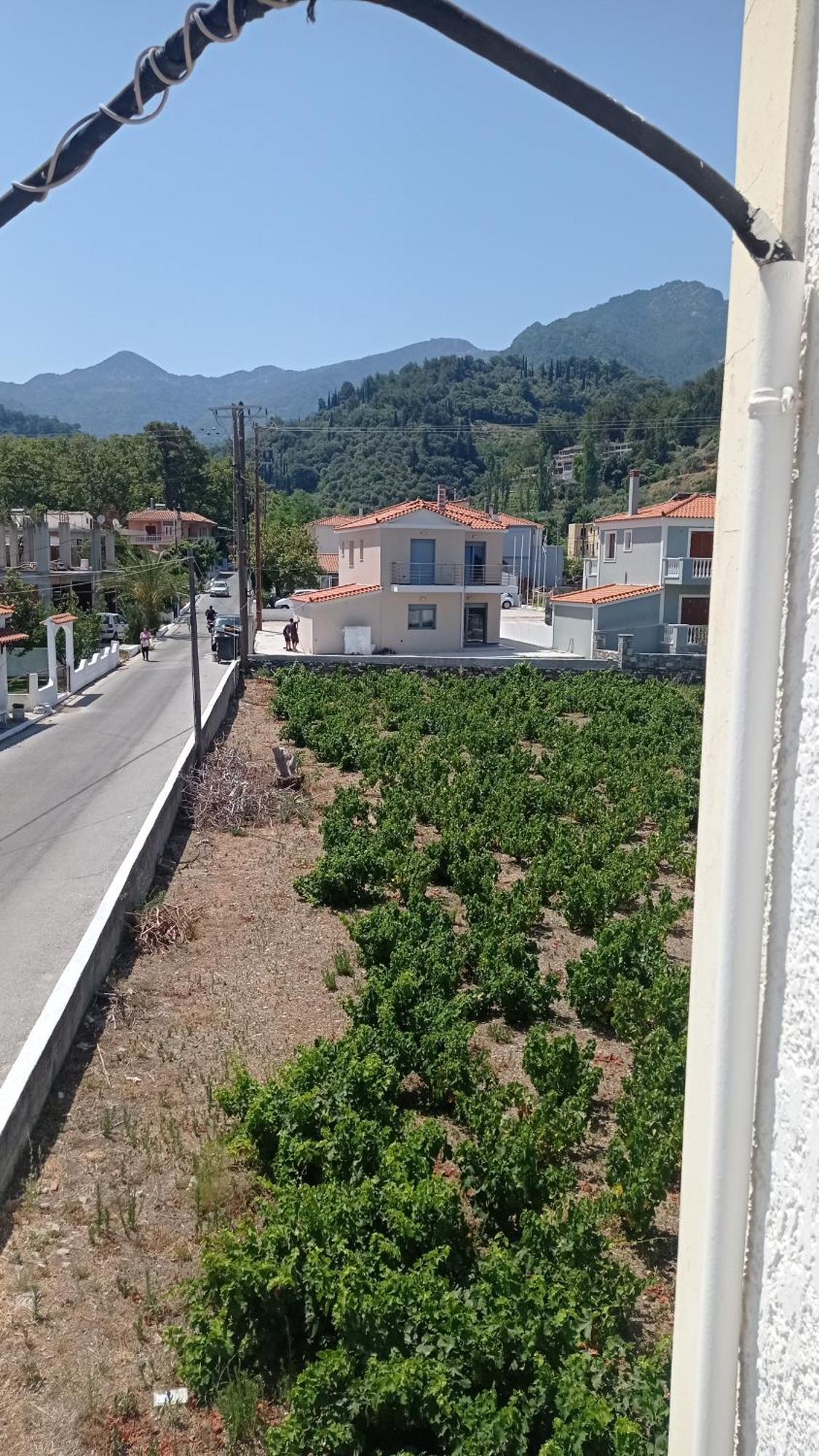 Hotel Apartment Agios Konstantinos Dış mekan fotoğraf