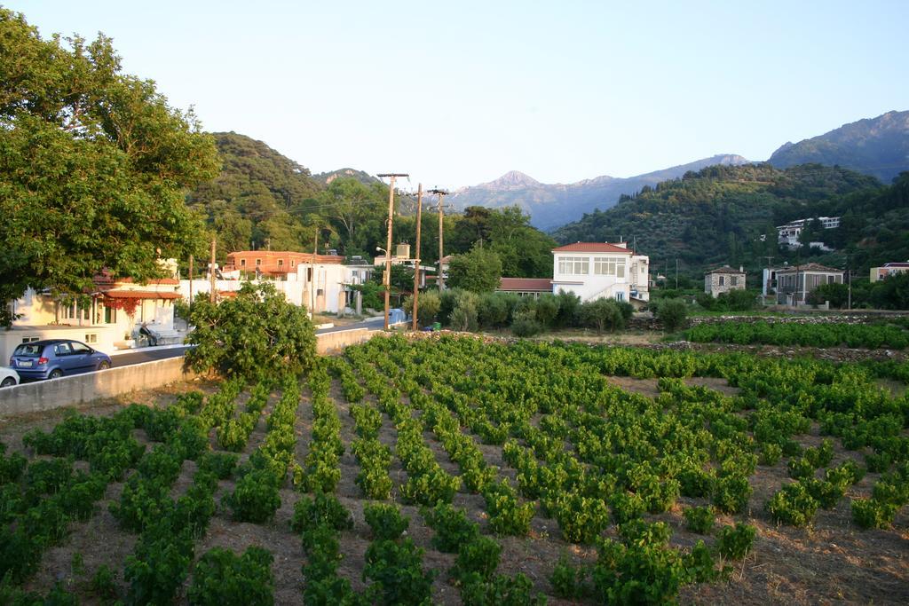 Hotel Apartment Agios Konstantinos Dış mekan fotoğraf